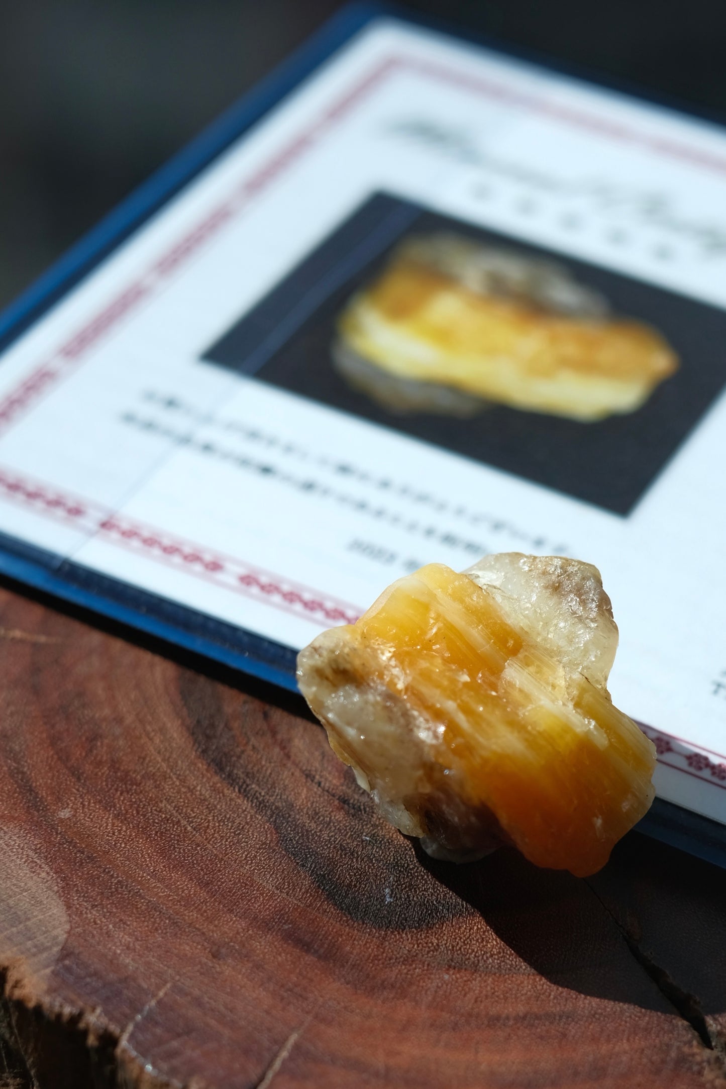 稀有 北海道螢光石 原石 10.2 g HOKKAIDOITE (天空之城 發光石)