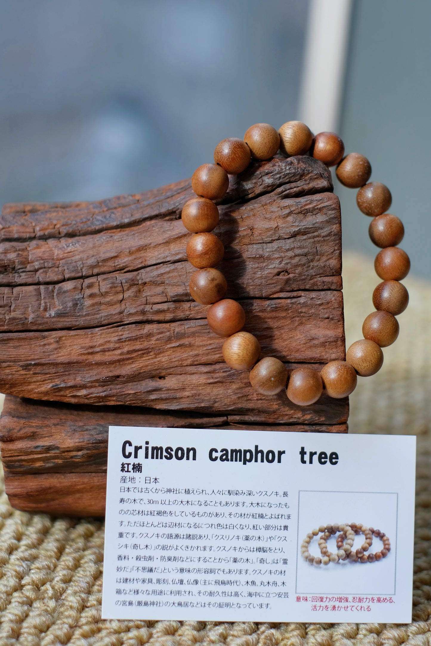 紅楠 CRIMSON CAMPHOR TREE  (回復力增強、忍耐力提高、活力湧現)