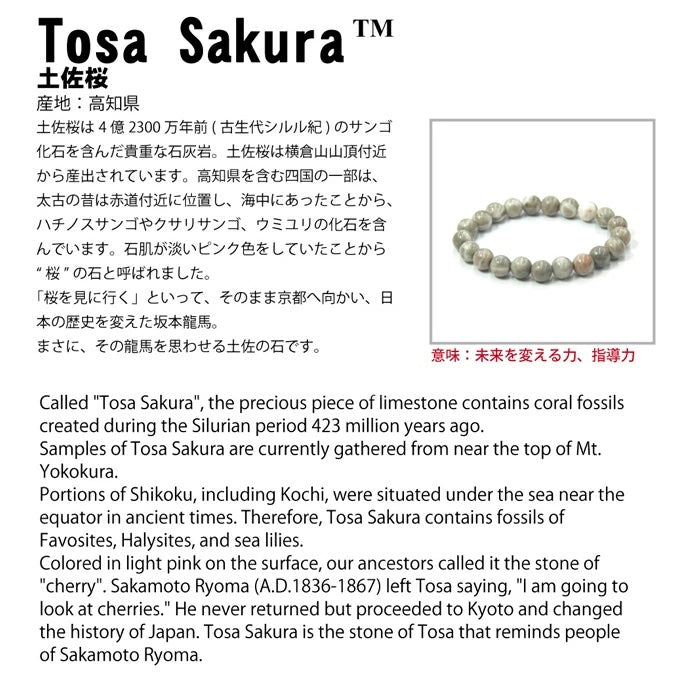 土佐櫻 TOSA SAKURA (改變未來的力量，領導力)